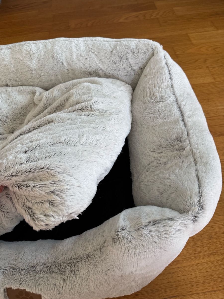 Liege- & Schlafplätze: Katzen-/Hundebett – Gebraucht aus Kriessern von c_n1 1