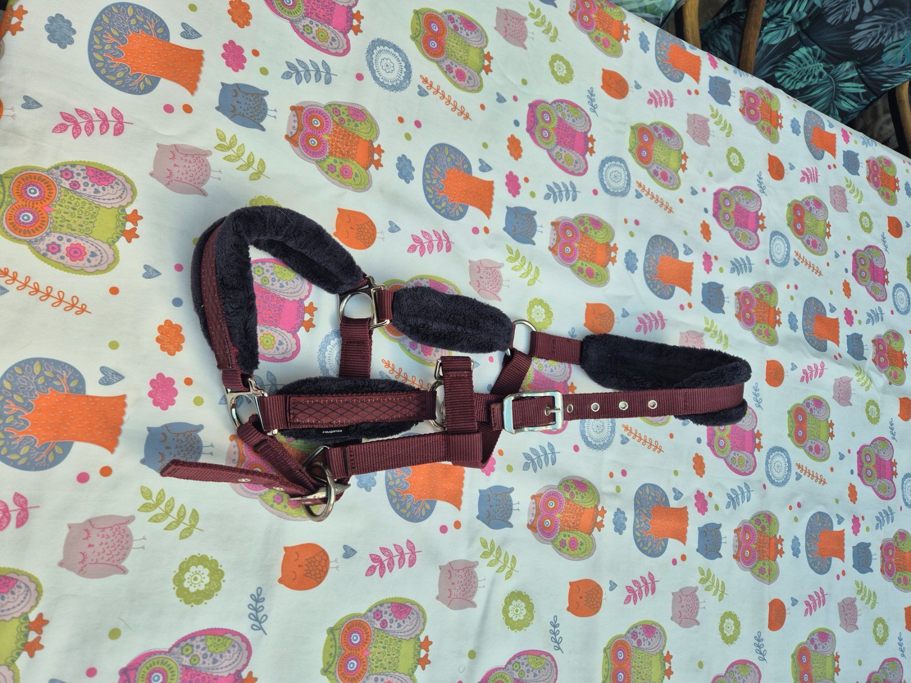 Briglie & Cavezze: Halfter Gr. Cob – Usato da Dänikon ZH venduto da shantiwell 1