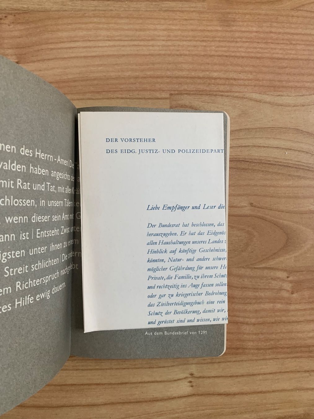 Libri: Zivilverteidigung – Usato da Obfelden venduto da Zocci 1