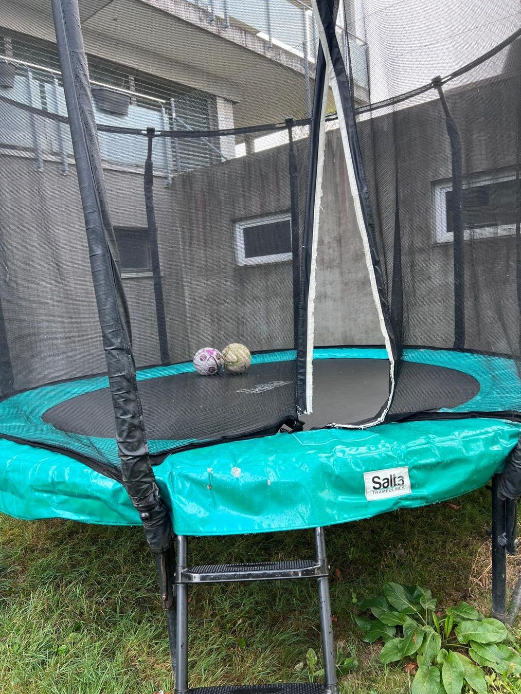 Salta Trampoline: Trampolin Salta First Class – Gebraucht aus Dällikon von outpost 3