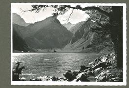 AK sw Seealpsee AI von Gasthaus Forelle ≈ 1955 