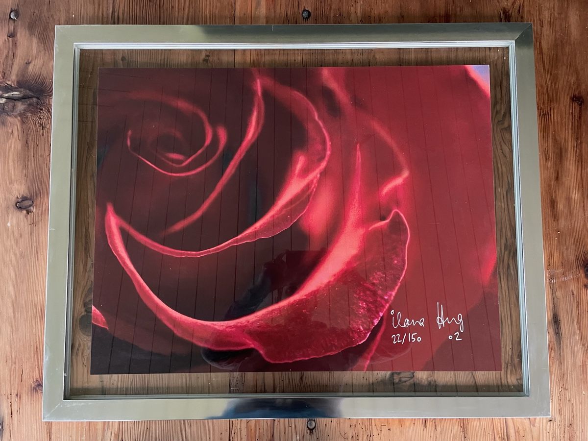 Poster & Bilder: Bild von Ilona Hug – Gebraucht aus Walliswil b.Wangen von Stewalt