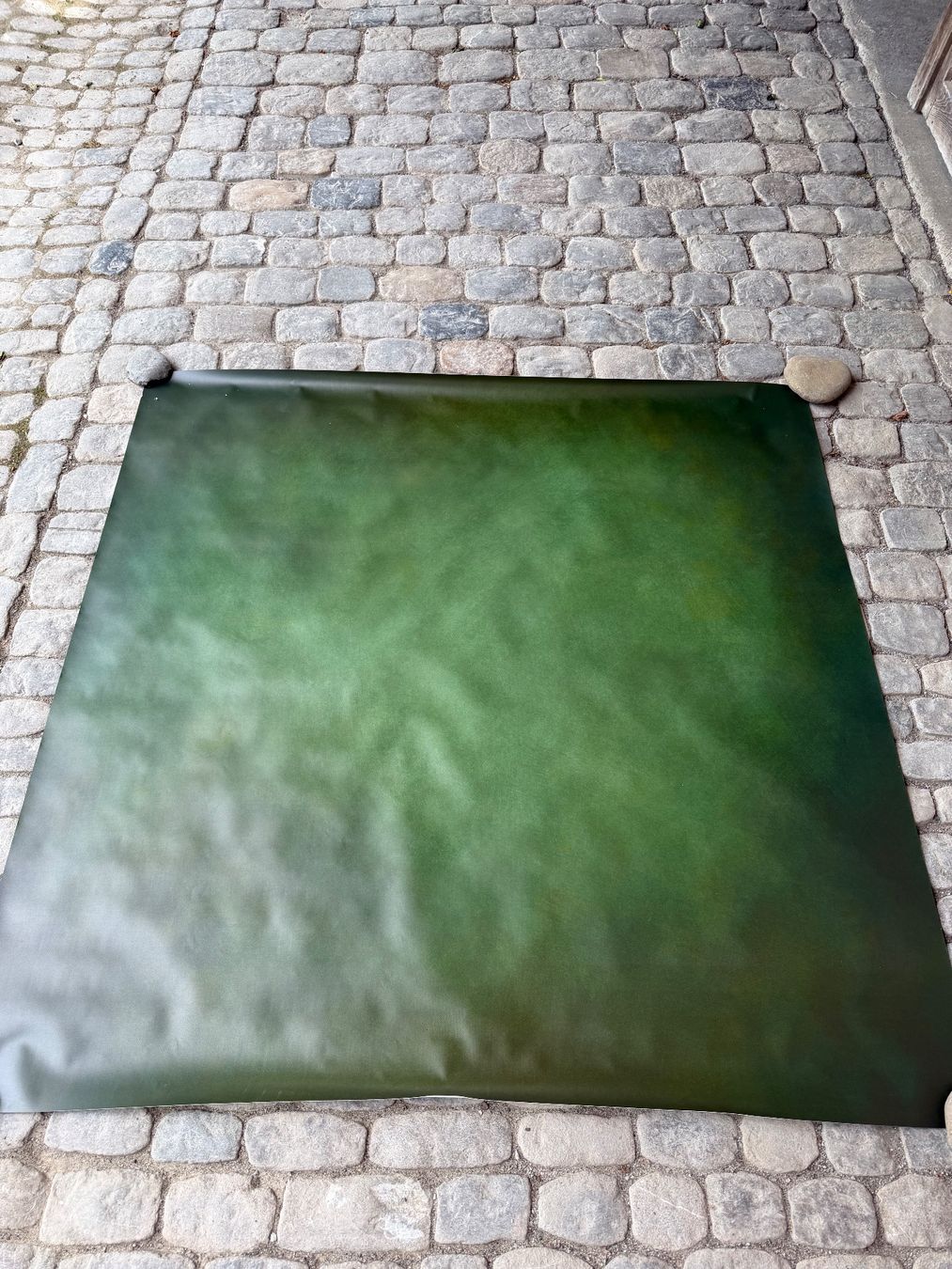Altri Accessori: 8Stk Vinyl-Backdrops – Usato da Biberen venduto da Kroki79 2