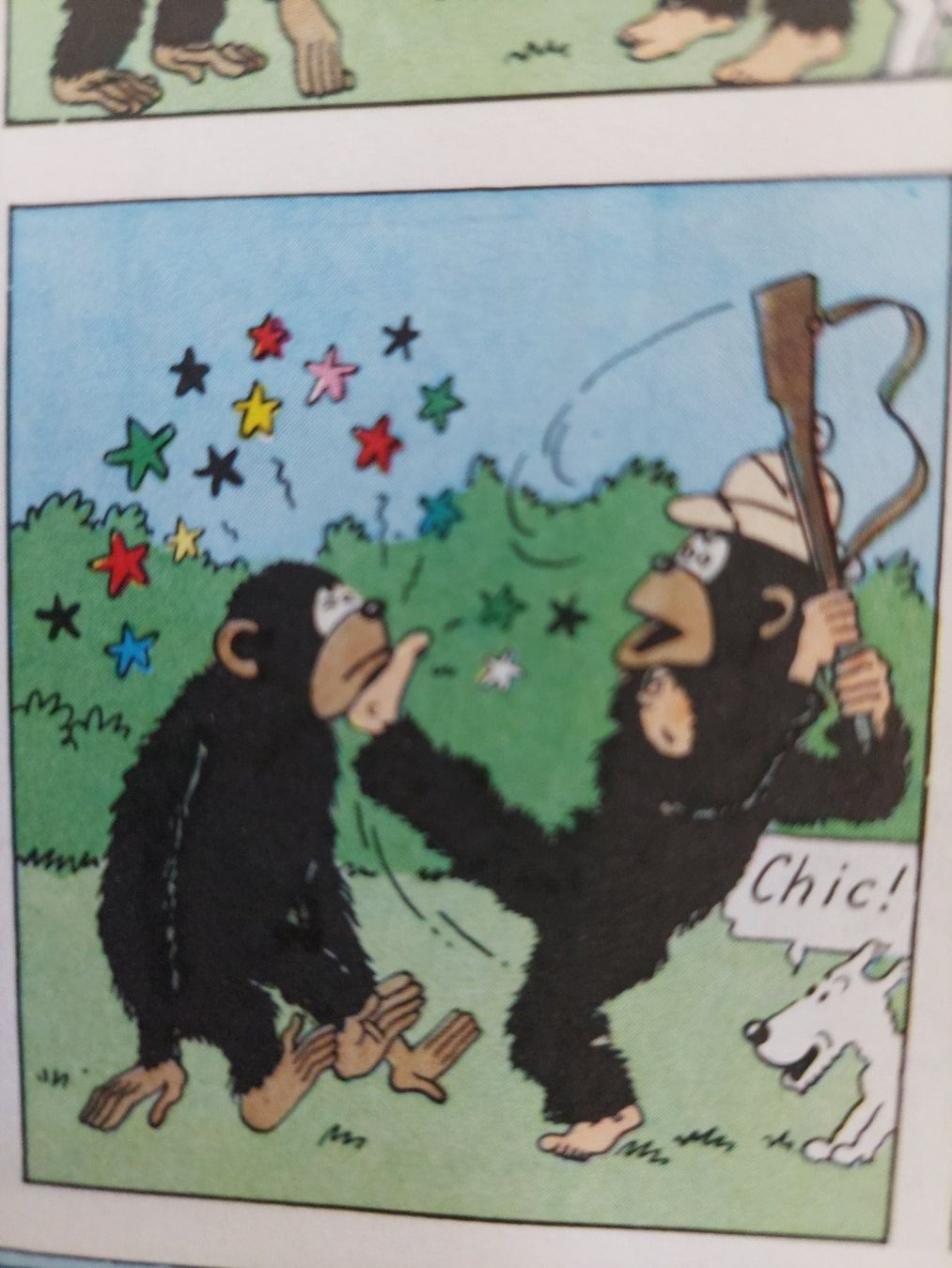 Fumetti: Tintin au Congo Ed. 1986 TBE – Usato da Genève venduto da Blu_BD 3