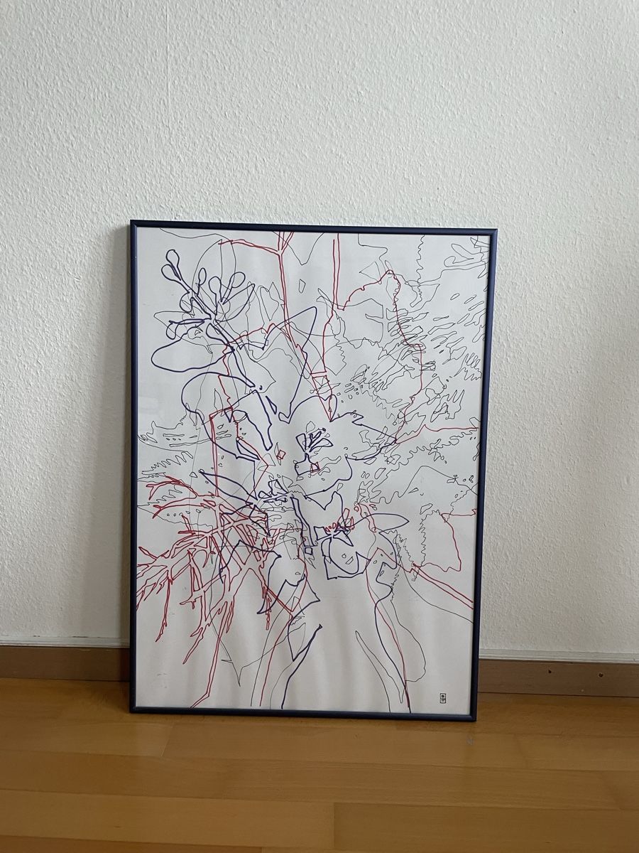 Bilderrahmen: Metallrahmen 50x70cm – Gebraucht aus Lausanne von ben_vk68