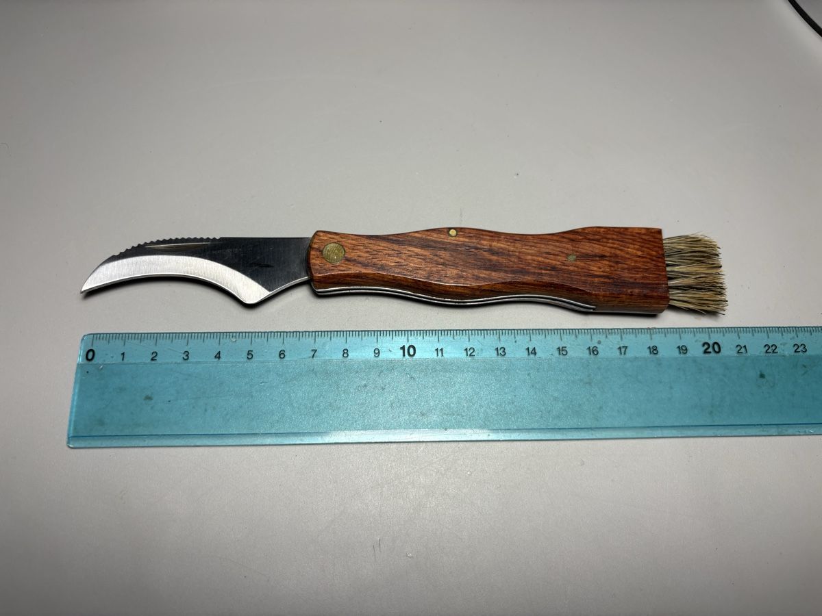 Accessori: Baladéo Pilzmesser mit Bürste – Usato da Birrwil venduto da kaestli