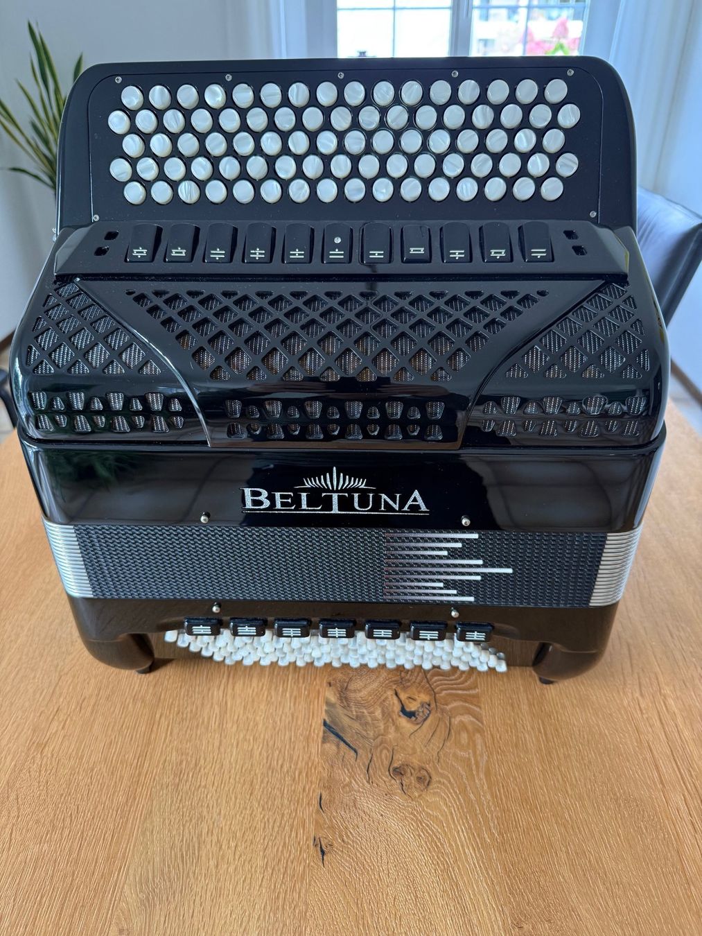 Beltuna Strumenti musicali: Akkordeon Beltuna Prestige Plus 3050 GHV – Usato da Endingen venduto da Spicki01