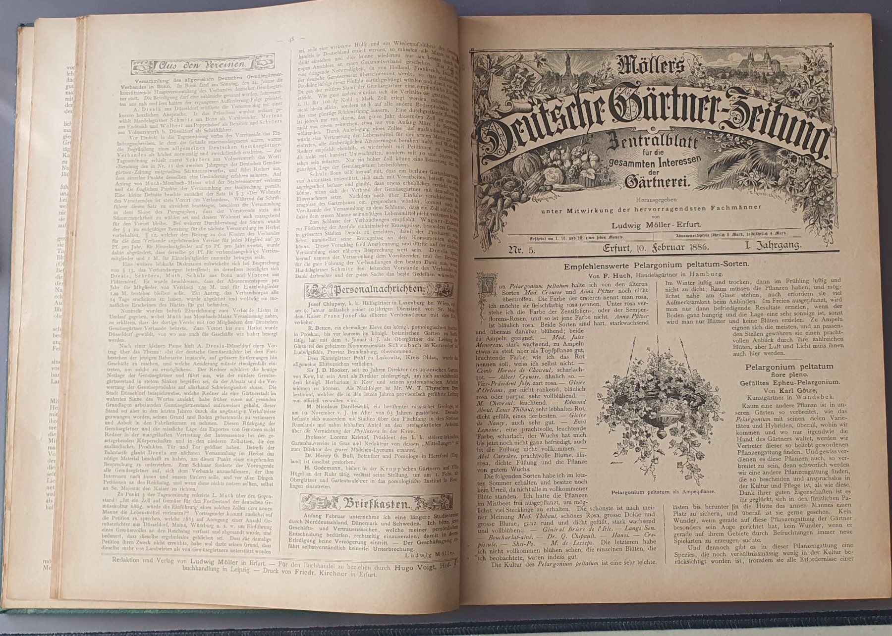Bücher: Deutsche Gärtner-zeitung 1886+87, Top – Gebraucht aus Kreuzlingen von Rschweiz1 4