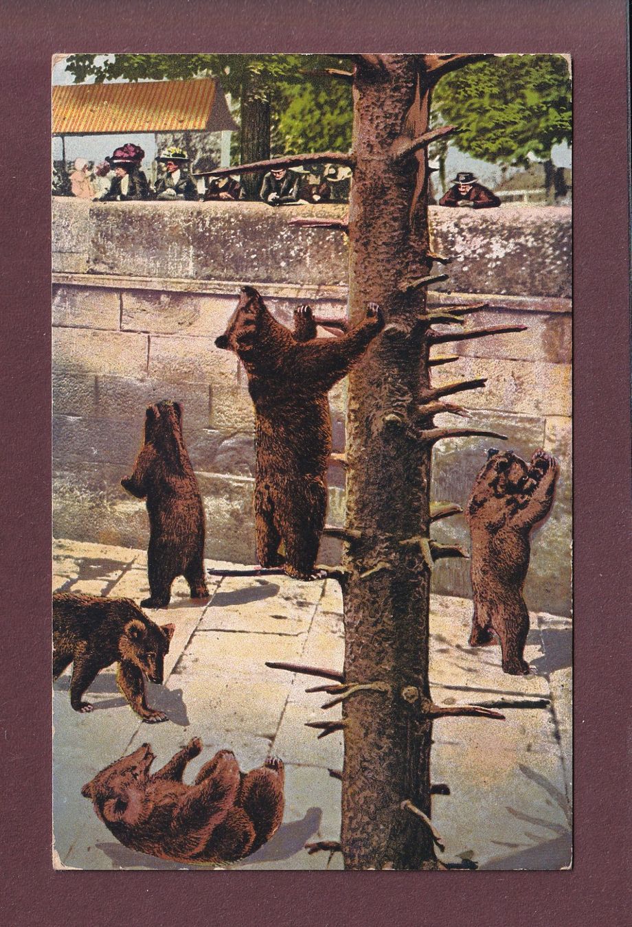 Cartoline postali: BERN - Bärengraben - 1918 – Usato da Pully venduto da nicecards
