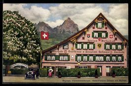 Brunnen am Vierwaldstättersee, Hotel-Pe