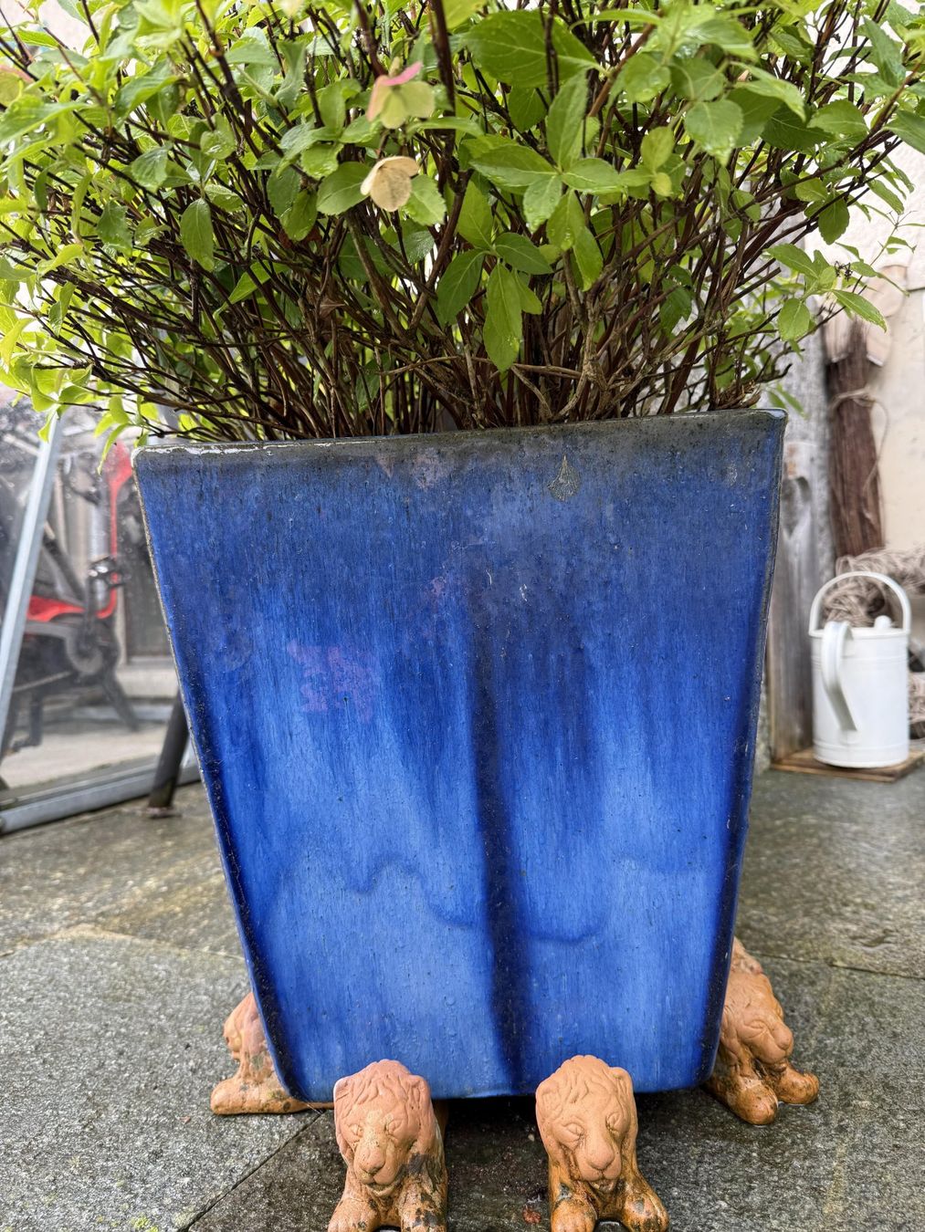 Vasi per fiori: Blumentopf aus Steingut, winterhart – Usato da Goldingen venduto da edi_qhx9