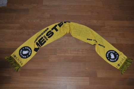 Schal BSC Young Boys - Geister Meister