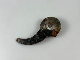 Rücktritt Bremsplatte Sachs Mofa