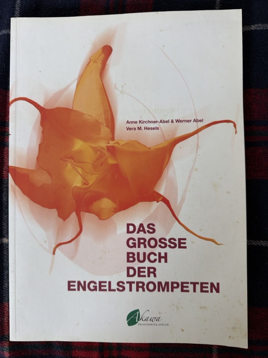 Libri: Bücher Set:Engels-trompeten: Brugmansia – Usato da Zürich venduto da d.reitzer 3