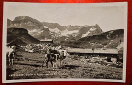 Anzeindaz Glacier de Paneyrossaz et Pierre Cabotz VS, 1932