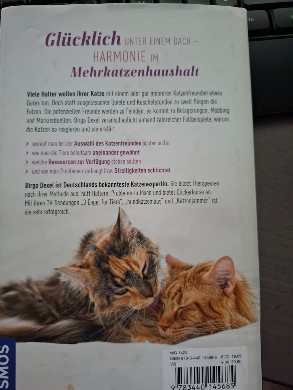 Bücher: Ratgeber: Mehrere Katzen halten – Neu (gemäss Beschreibung) aus Eiken von Lashar 1