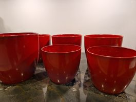 Auswanderungs-Sale bis 27.8.! 6x Übertöpfe Scheurich