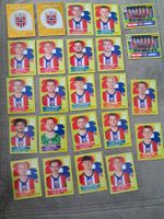 24 x Paninisticker 2026 / Norwegen