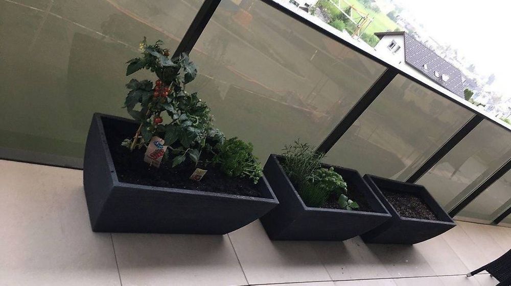 Lazmin112 Kunststoff-Mikrofon - Perfekt Für Kinder-Partys & Bühnenshows