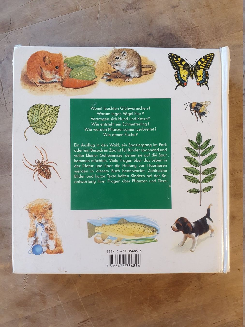 Libri: Alles was ich wissen will 2 Ravensburger – Usato da Zürich venduto da loosebone 8