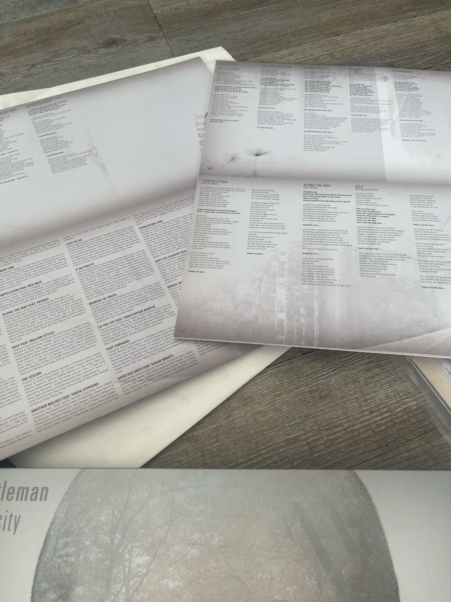 Dischi in vinile: Gentleman / Diversity  – Nuovo (secondo la descrizione) da Dagmersellen venduto da stonefinger 4