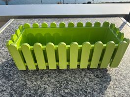 Blumenkiste, Gewürzkiste 47 cm lang, 19 cm breit