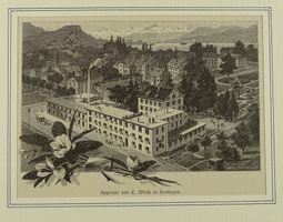 ZÜRICH HOTTINGEN APPRETUR, HOLZSTICH 1888
