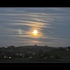 Profile image of Luno63