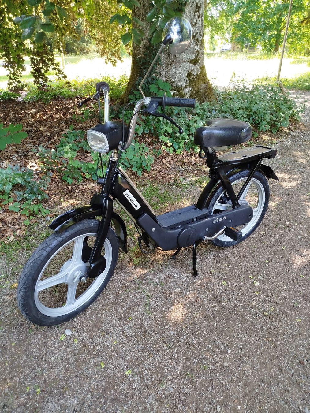 Piaggio Ciclomotori: Piaggio Ciao Mofa – Usato da Schaffhausen venduto da Viertelvorvieri 2
