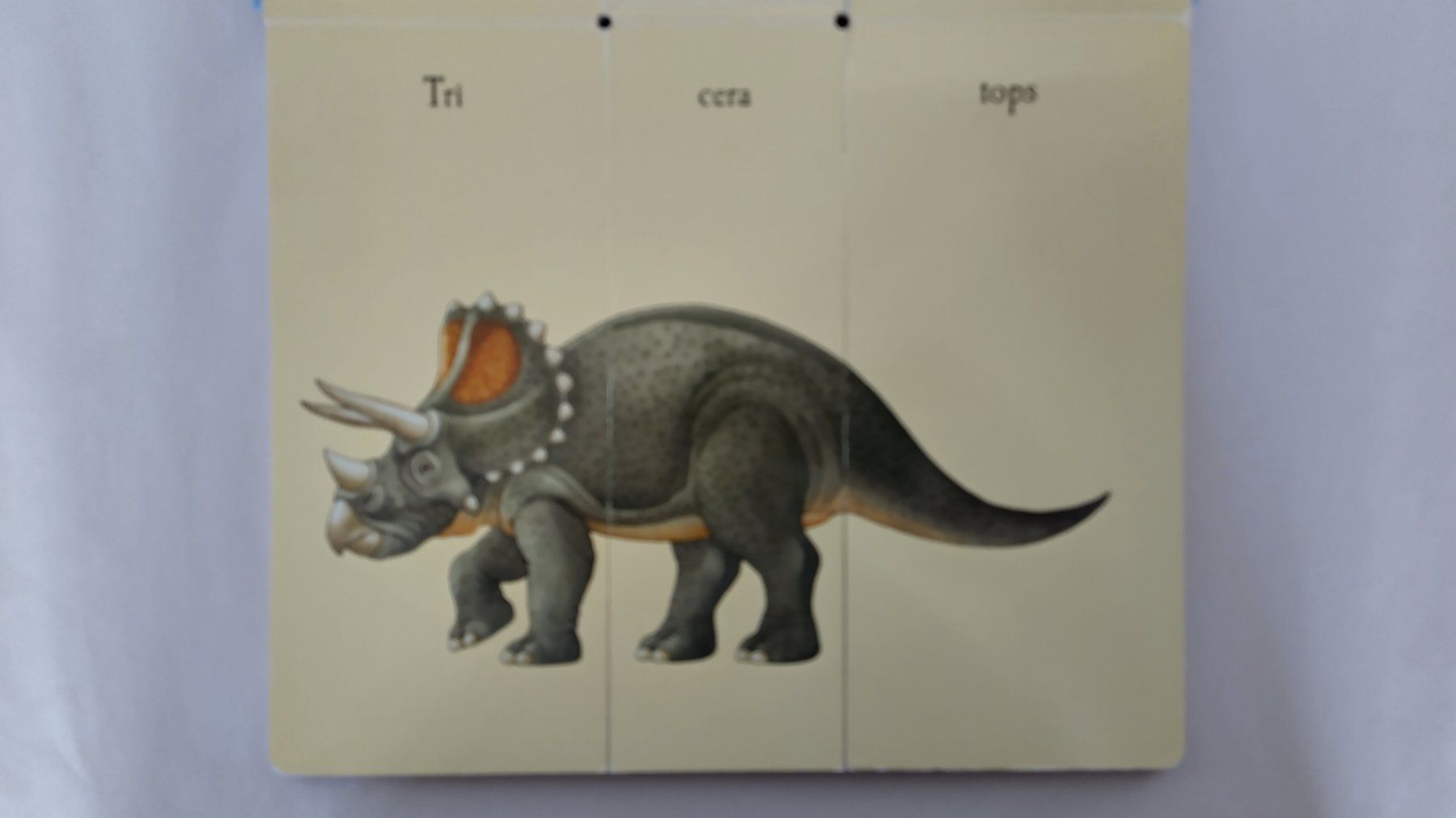 Bücher: Das verrückte Dino-Klappbuch / Sara Ball / Dinosaurier – Gebraucht aus Bellach von JingleJerry 5