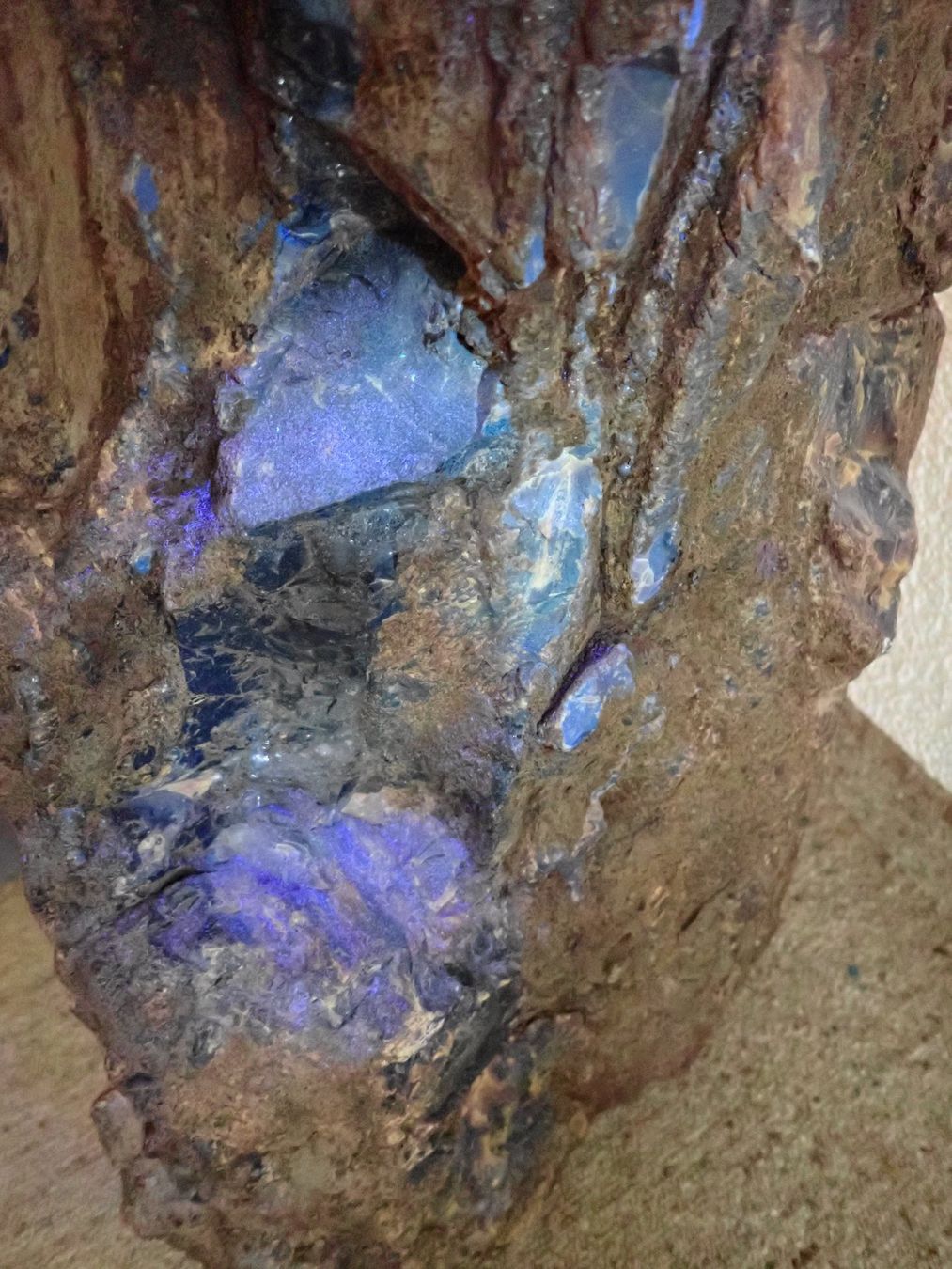 Fossili: Grosser Bernstein!  11.6 Kg!! – Usato da Wallisellen venduto da Mf1000 7
