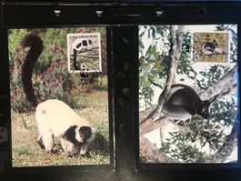 WWF Madagaskar 1988 Lemuren Affen Satz Maximumkarten
