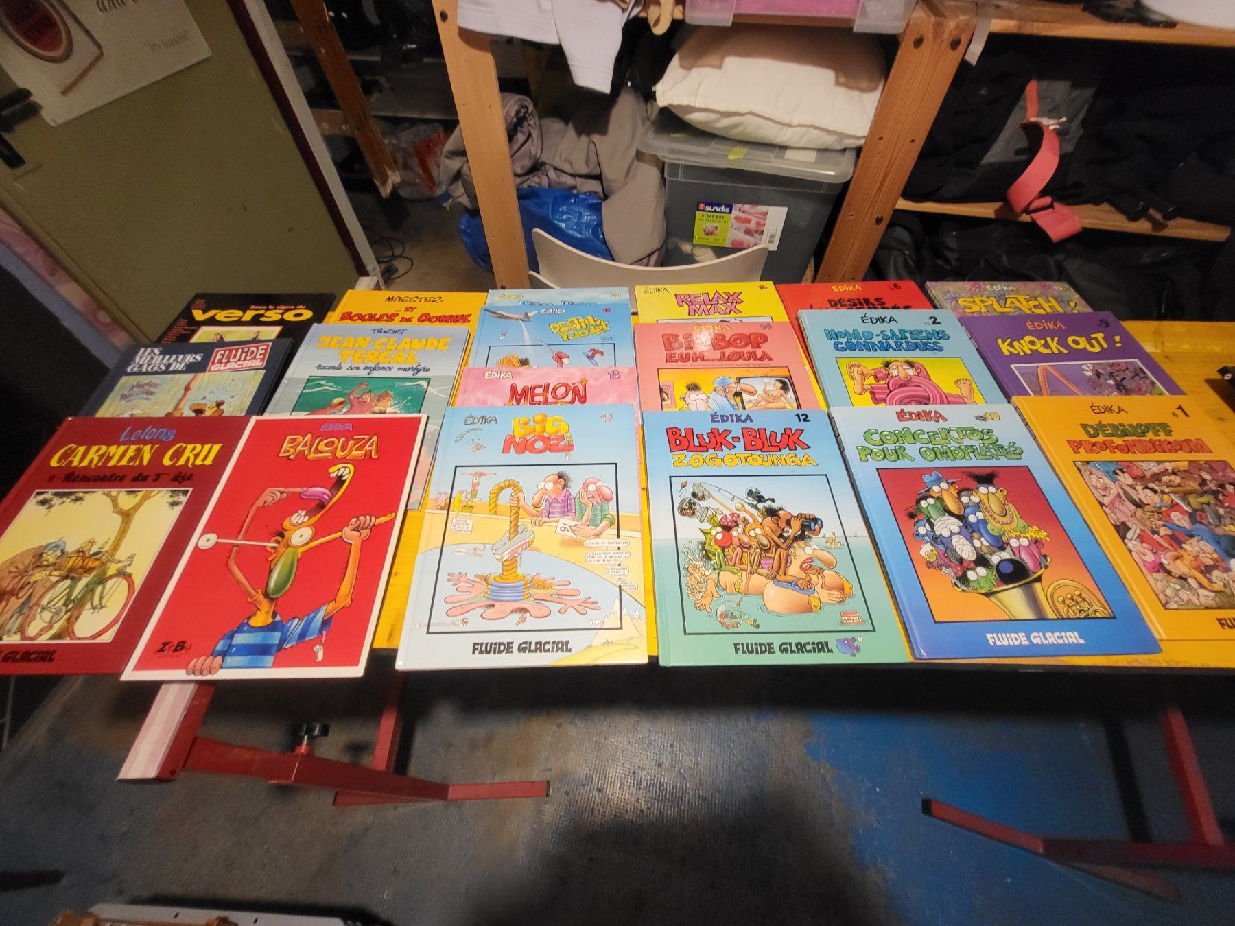 Comics: Lot de 19 bd Fluide Glacial – Gebraucht aus Lausanne von riwink