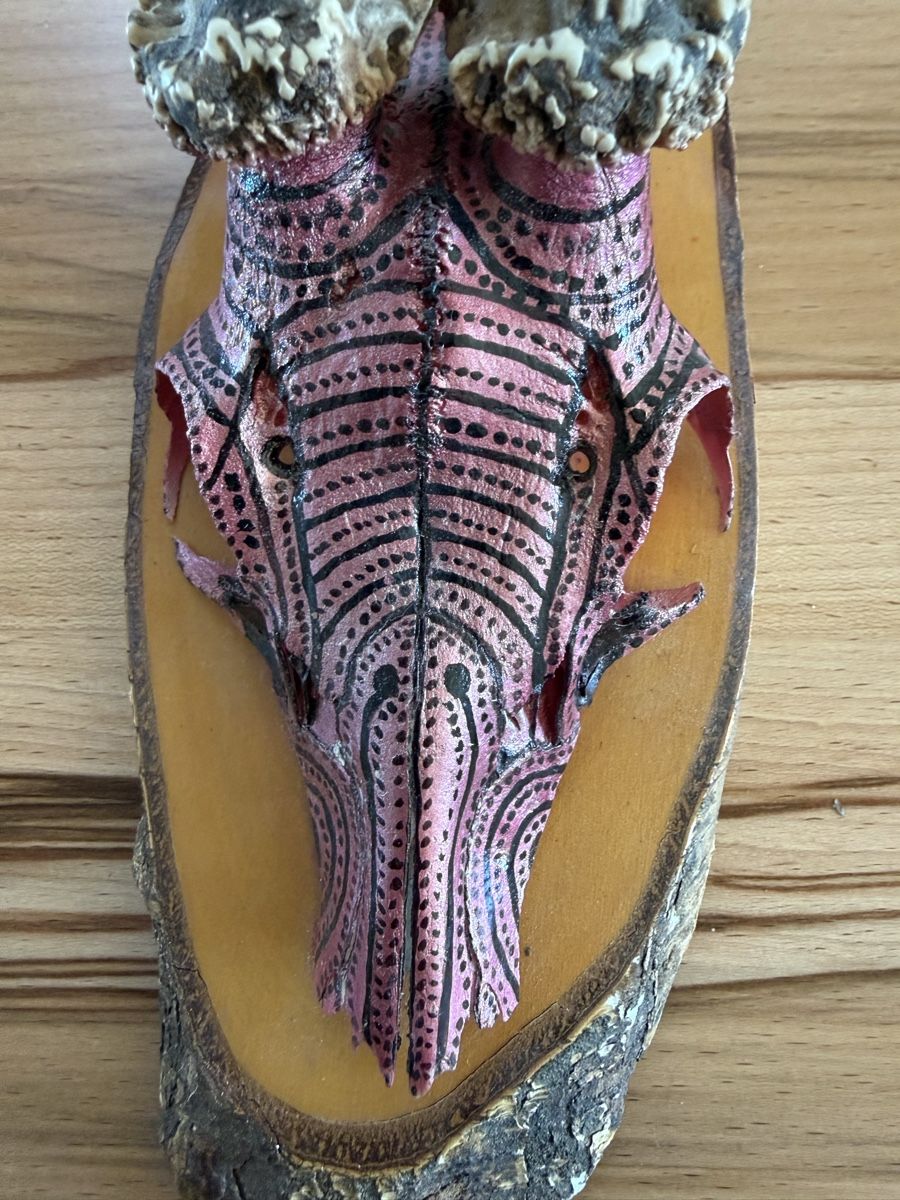 Tutte le decorazioni: Rehschädel handbemalt und Airbrush – Usato da Grenchen venduto da Bastet007 2