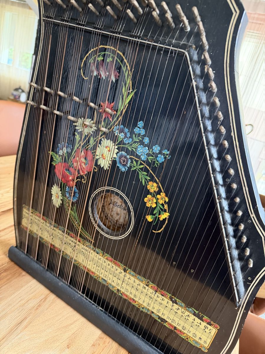 Musikinstrumente: Zither mit Blumenmalerei – Gebraucht aus Beromünster von Ctempo 1