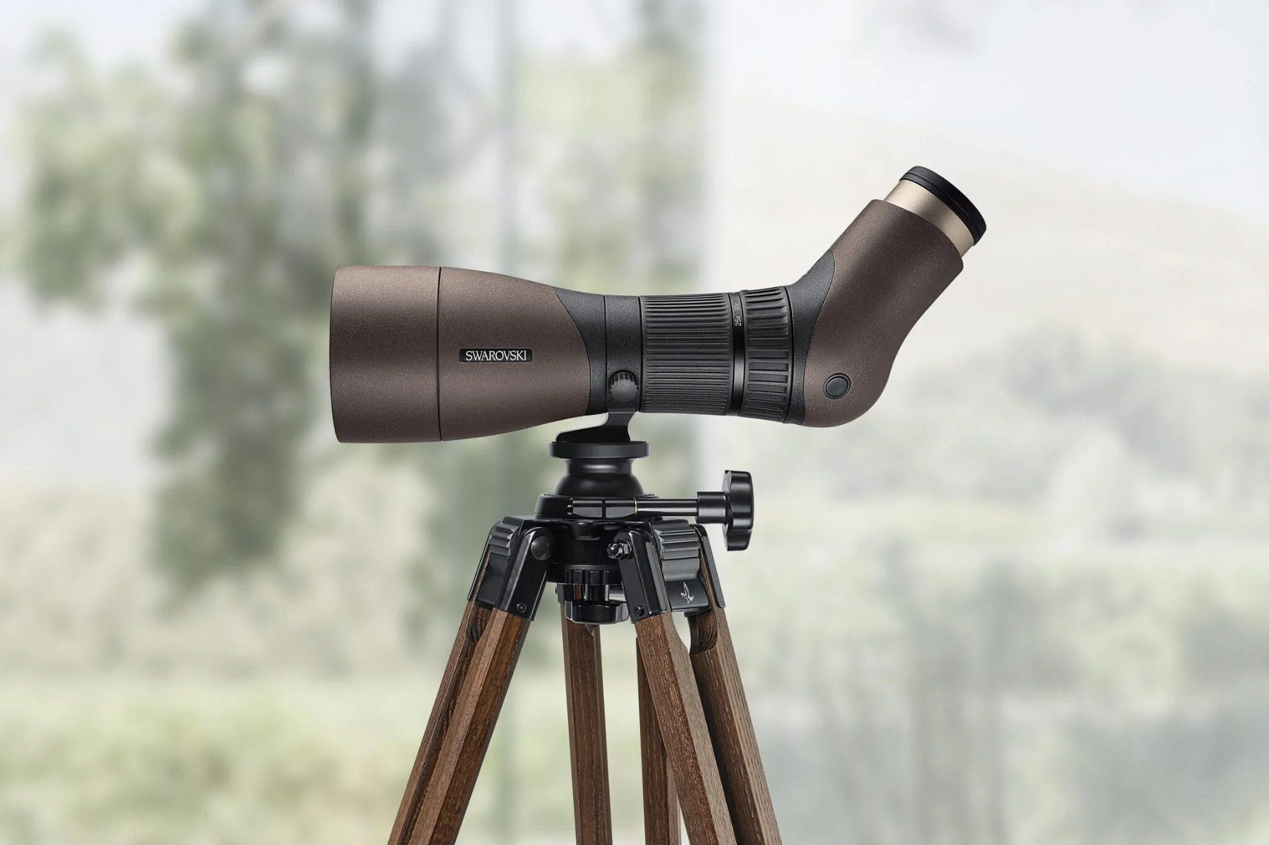 Swarovski Optik Telescopi: Swarovski ATX-Interior 25-60x – Nuovo (secondo la descrizione) da Lohn-Ammannsegg venduto da mothersfear