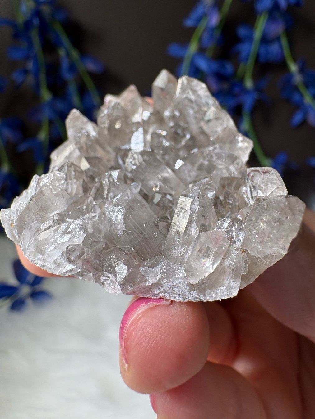 Minerali & Pietre curative: Rauchquarz-Cluster – Nuovo (secondo la descrizione) da Neuheim venduto da m.hald 5