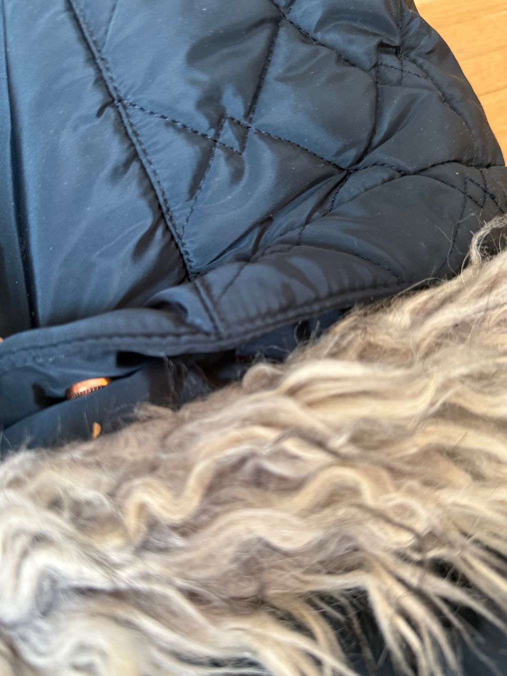 Felix Bühler Giacche & Cappotti: Felix Bühler Reitjacke – Usato da Zug venduto da marcosonlineshop 6