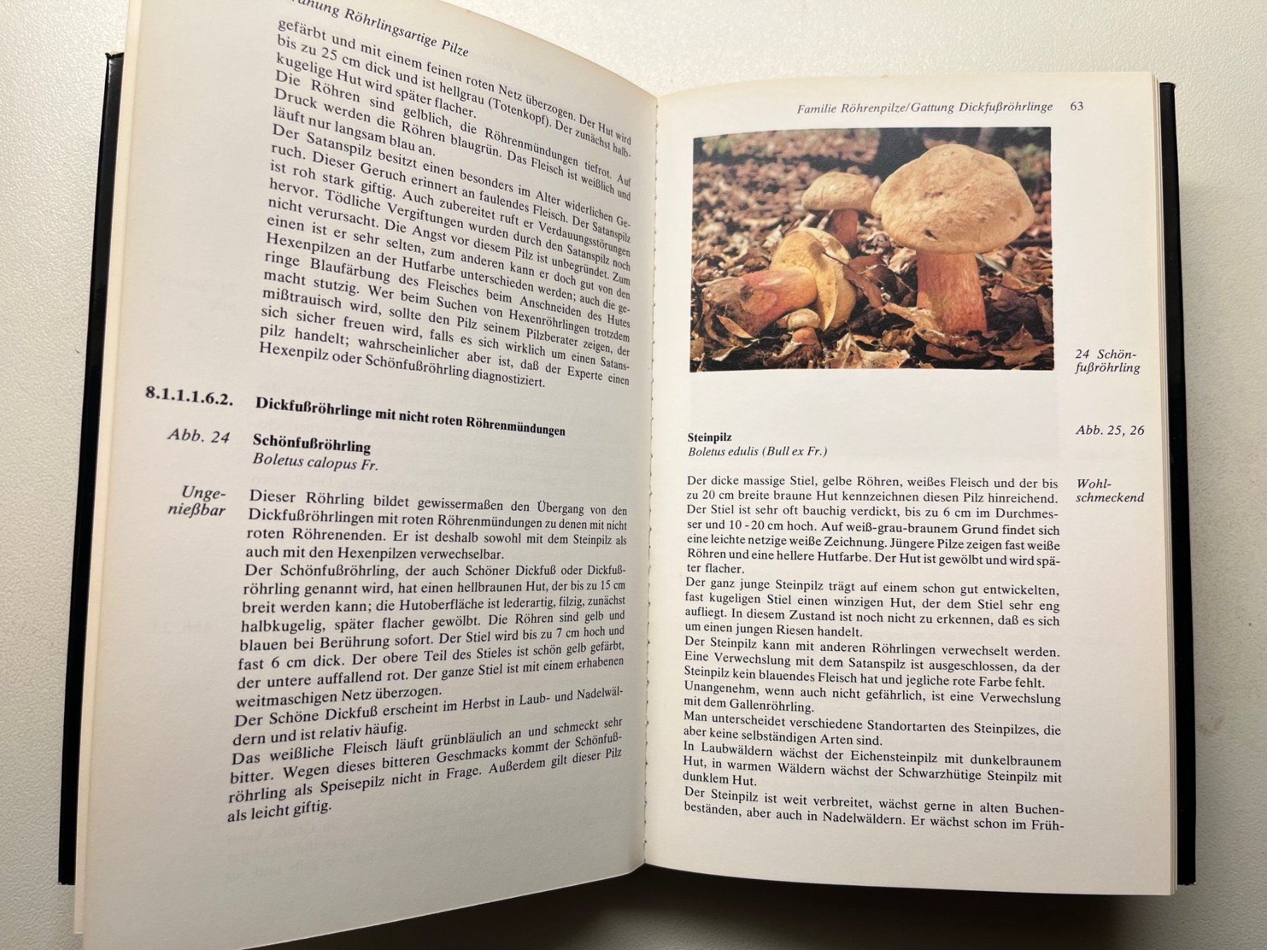 Libri: Gerhard Thamerus Keysers Pilzberater – Usato da Laufen venduto da Nuria44 4