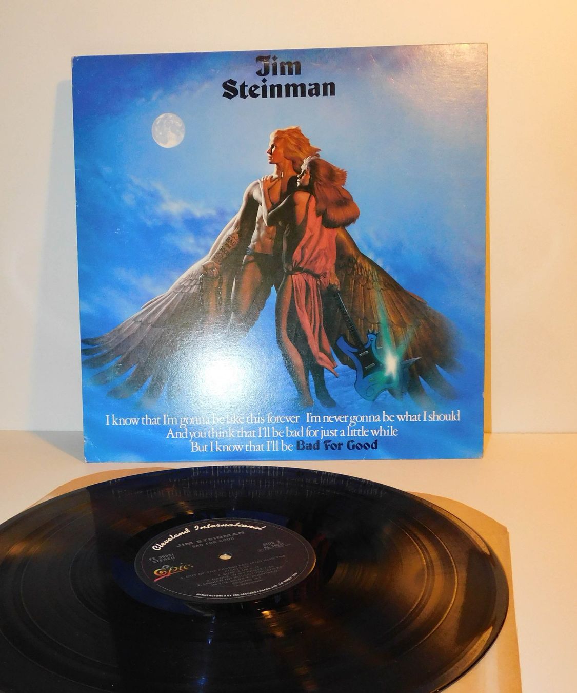 Dischi in vinile: Lp Jim Steinman - 1981 Schallplatte – Usato da Sursee venduto da 76 4
