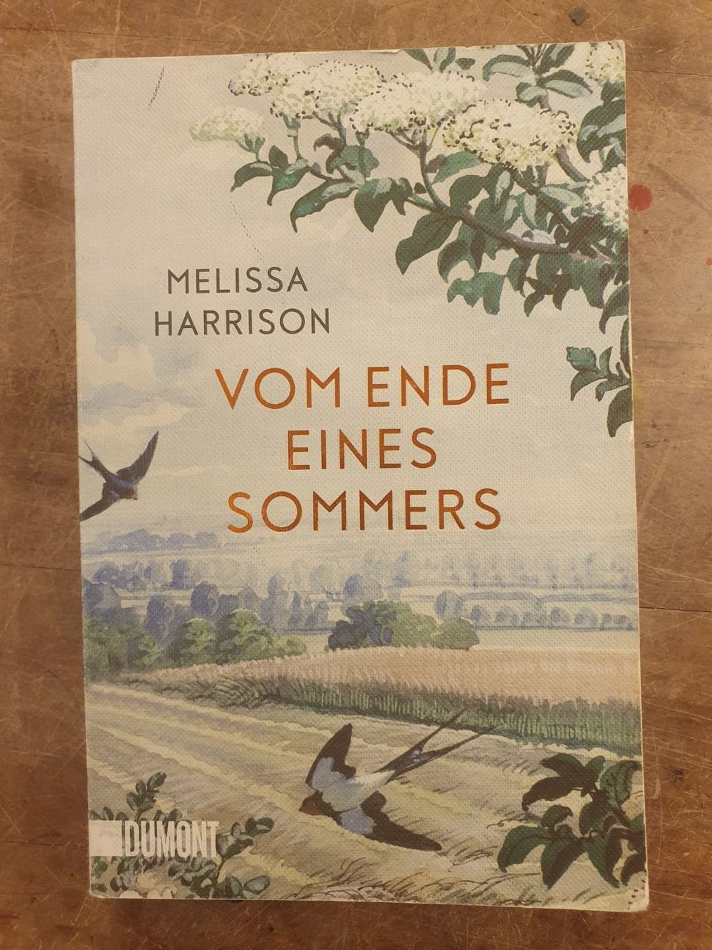 Libri: Vom Ende eines Sommers - Melissa Harrison - Dumont – Usato da Zürich venduto da loosebone