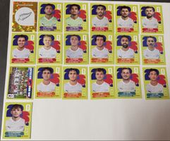 Panini WM 2026 -Neuseeland Set 19 Stk inkl Wappen & Teambild