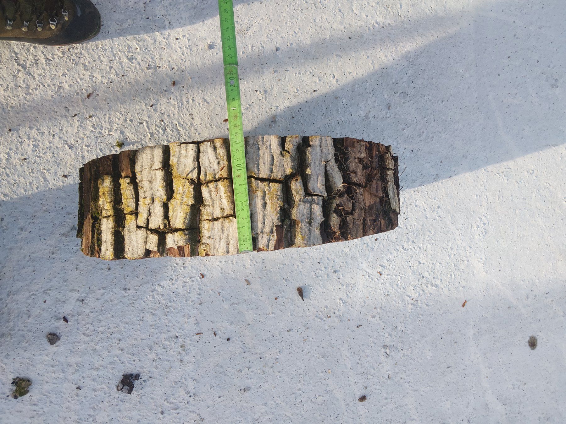 Articoli in legno: Nussbaum Holzscheibe Nr. 7 Dekoration – Nuovo (secondo la descrizione) da Affoltern am Albis venduto da ret_6x6z 2