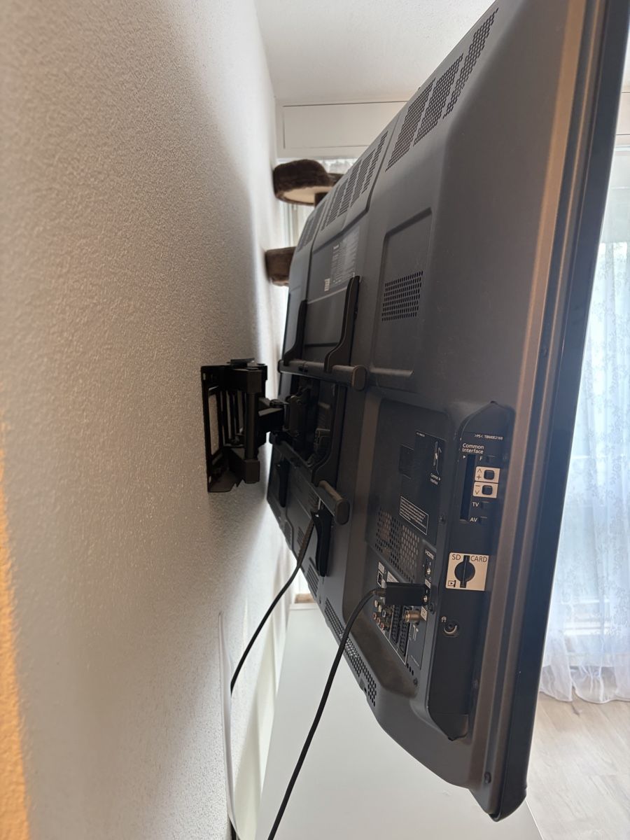 Panasonic Televisori: Panasonic Fernseher – Usato da Steffisburg venduto da reg_bzn9 1