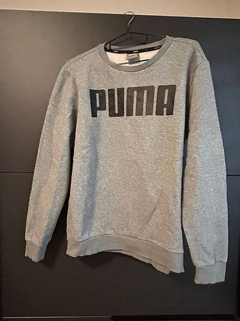Puma-Oberteil