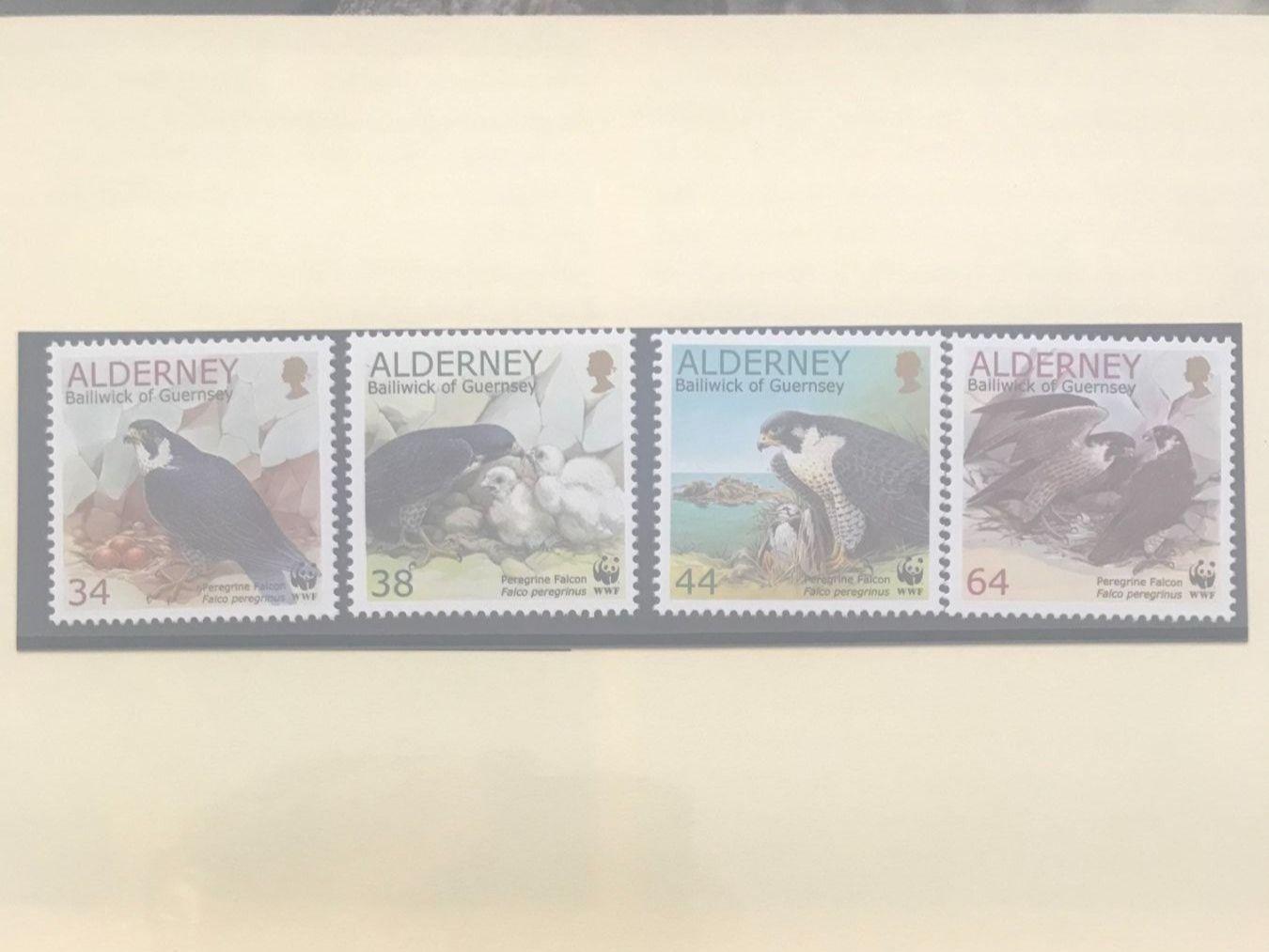 Tutti i francobolli: Alderney 2000 Satz WWF Wanderfalke postfrisch – Nuovo (secondo la descrizione) da Liestal venduto da schnueps