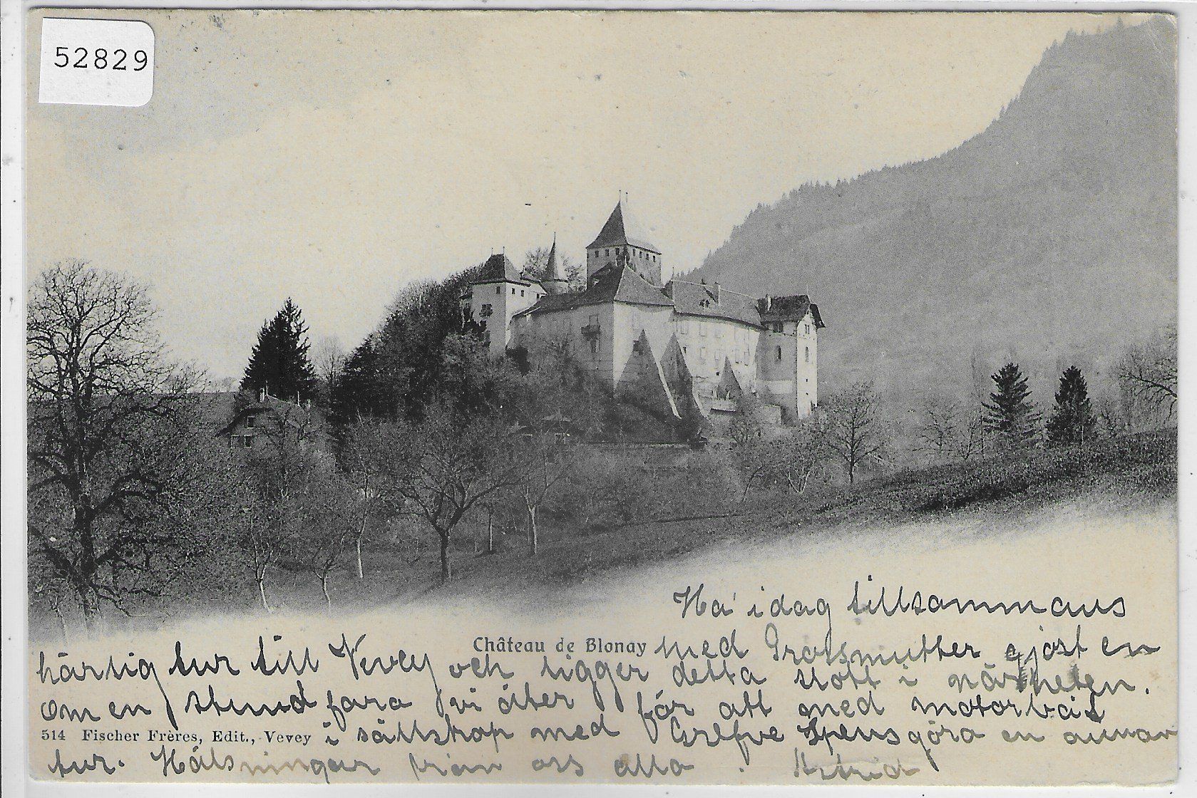 Cartoline postali: Chateau de Blonay – Usato da Ettingen venduto da Kartenplanet