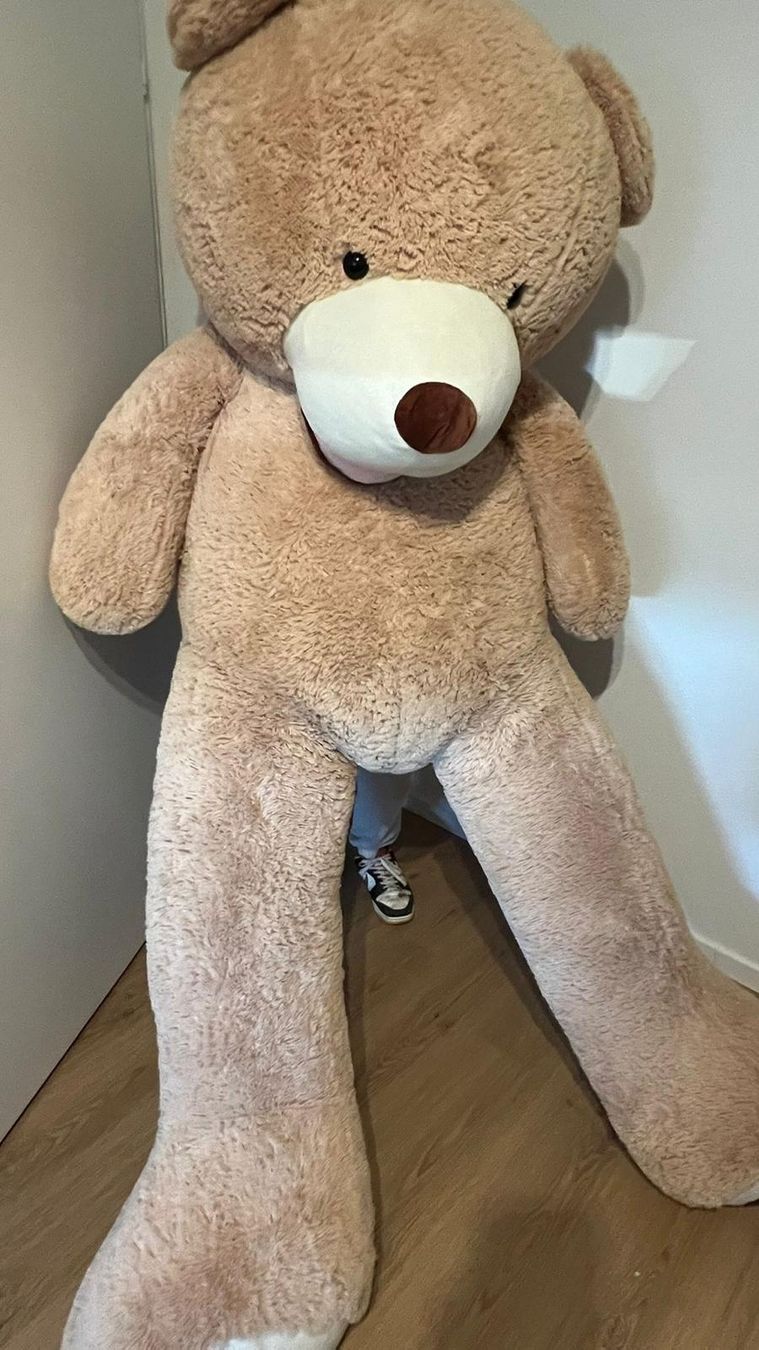 Giocattoli: Riesen Teddybär – Usato da Beringen venduto da Horsts_Garage 2