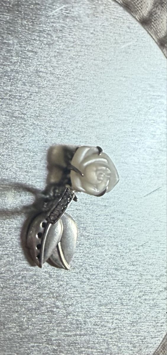 Pandora Ciondoli: Pandora Charm – Nuovo (secondo la descrizione) da Winterthur venduto da zwa_tr97 1