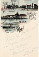 Gruss aus FRIERICHSHAFEN sehr schöne Litho beschr. um 1900!